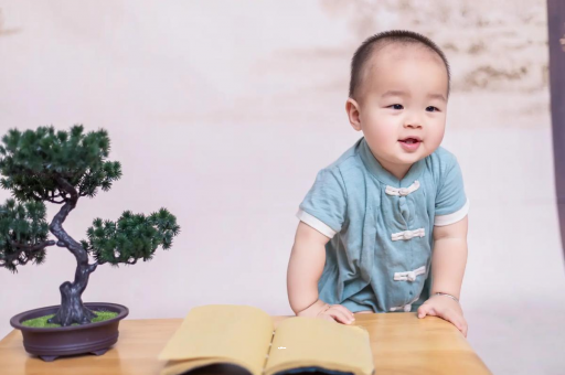 枣阳可爱的企鹅宝宝